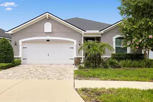 13102 Satin Lily Dr, Riverview, FL 33579 - Photo 1