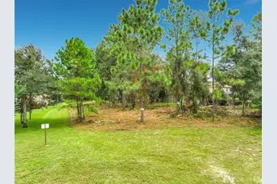 262 Osprey Hammock Trail, Sanford, FL 32771 - Photo 9