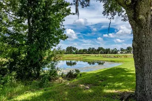 915 Jasmine St, Celebration, FL 34747 - Photo 69