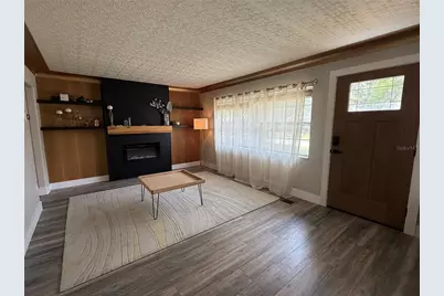 925 E 10th Avenue, Mount Dora, FL 32757 - Photo 9