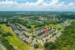 30539 Lipizzan Terrace, Mount Dora, FL 32757 - Photo 55