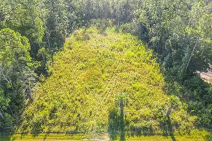 2285 Laurel Ave, Bunnell, FL 32110 - Photo 1