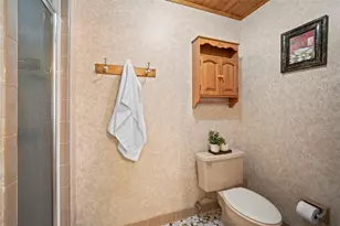 1351 Cr 482N, Lake Panasoffkee, FL 33538 - Photo 31