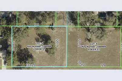 Lot 9 Deer Street, Spring Hill, FL 34608 - Photo 1