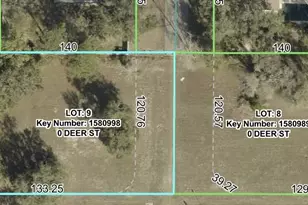 Lot 9 Deer St, Spring Hill, FL 34608 - Photo 1