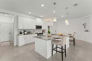 6025 Claystone Wy, Mount Dora, FL 32757 - Photo 19