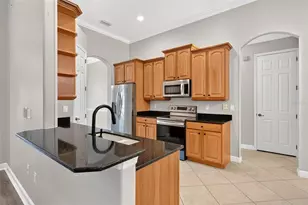 1070 Ceasars Ct, Mount Dora, FL 32757 - Photo 69