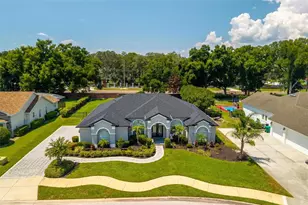1070 Ceasars Ct, Mount Dora, FL 32757 - Photo 17