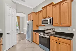1070 Ceasars Ct, Mount Dora, FL 32757 - Photo 65