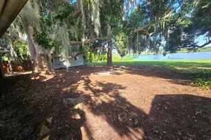 14322 Lake Junietta Dr, Tavares, FL 32778 - Photo 5