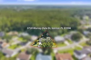 3720 Murray Dale Dr, Valrico, FL 33596 - Photo 61