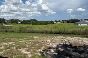 4633 Hazelgrove Dr, Orlando, FL 32818 - Photo 13