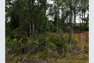 Blackman Street, North Port, FL 34291 - Photo 3