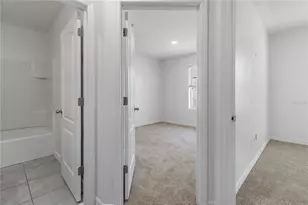 9033 Wildflower Ln, Kissimmee, FL 34747 - Photo 27