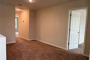 7909 Peace Lily Ave, Wesley Chapel, FL 33545 - Photo 11