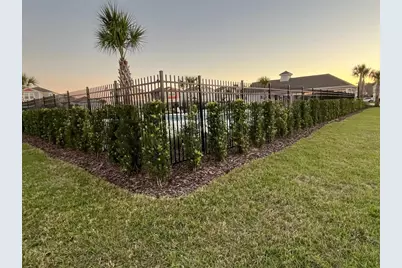 7909 Peace Lily Avenue, Wesley Chapel, FL 33545 - Photo 29