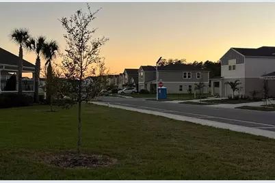 7909 Peace Lily Avenue, Wesley Chapel, FL 33545 - Photo 27