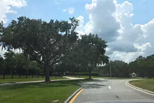 5045 Misty Lake Dr, Mulberry, FL 33860 - Photo 39