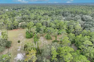 2968 S Tanner Rd, Orlando, FL 32820 - Photo 35
