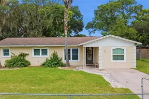 502 Mary Sue St, Fruitland Park, FL 34731 - Photo 1