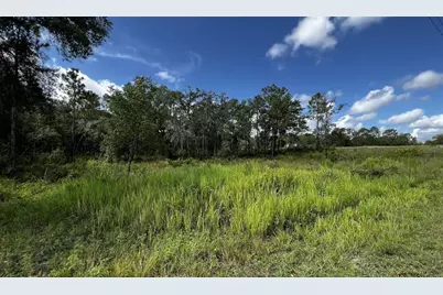 7398 Wagers Drive, Webster, FL 33597 - Photo 1