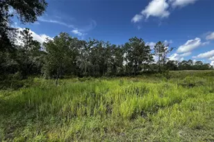 7398 Wagers Dr, Webster, FL 33597 - Photo 1