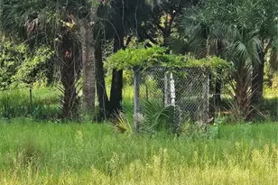 Snow Hill Rd Rd, Geneva, FL 32732 - Photo 7