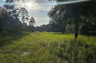 Snow Hill Rd Rd, Geneva, FL 32732 - Photo 1