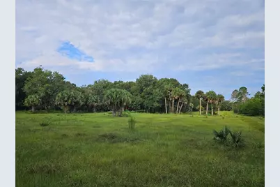 Snow Hill Rd Road, Geneva, FL 32732 - Photo 3