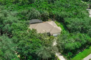 11540 Nellie Oaks Bend, Clermont, FL 34711 - Photo 49