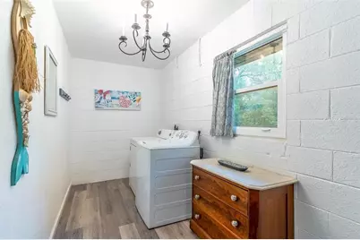 31050 Lochmore Circle, Mount Plymouth, FL 32776 - Photo 29