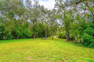 31050 Lochmore Cir, Mount Plymouth, FL 32776 - Photo 35