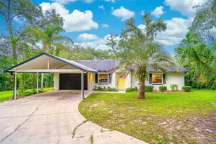 31050 Lochmore Cir, Mount Plymouth, FL 32776 - Photo 3