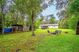 31050 Lochmore Cir, Mount Plymouth, FL 32776 - Photo 39