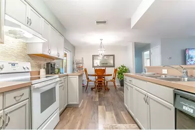 31050 Lochmore Circle, Mount Plymouth, FL 32776 - Photo 15