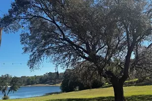 10615 SE 142nd Avenue Rd, Ocklawaha, FL 32179 - Photo 3