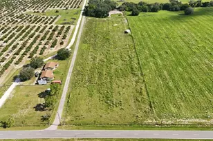 Mammoth Grove Rd, Lake Wales, FL 33898 - Photo 1
