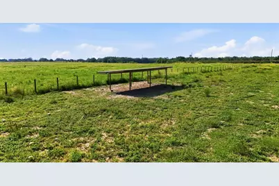 Mammoth Grove Road, Lake Wales, FL 33898 - Photo 5