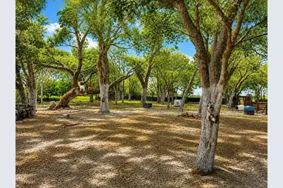 Mammoth Grove Road, Lake Wales, FL 33898 - Photo 1