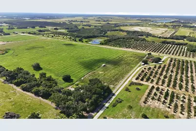 Mammoth Grove Road, Lake Wales, FL 33898 - Photo 15