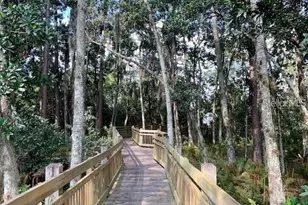 7453 Wing Span Wy, Saint Cloud, FL 34773 - Photo 33
