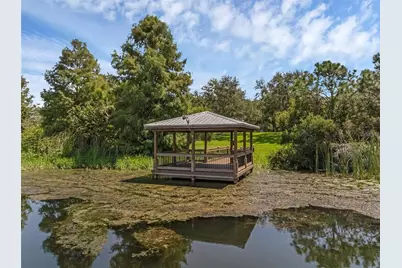 4718 Blue Major Drive, Windermere, FL 34786 - Photo 37