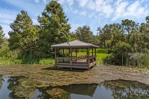4718 Blue Major Dr, Windermere, FL 34786 - Photo 37