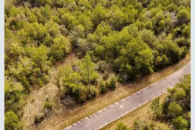 Lot# 42 Dandelion Drive, Chipley, FL 32428 - Photo 1