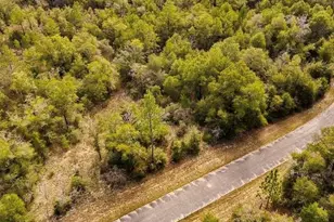 Lot# 42 Dandelion Dr, Chipley, FL 32428 - Photo 1