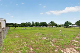 311 SE Hwy 42, Summerfield, FL 34491 - Photo 35
