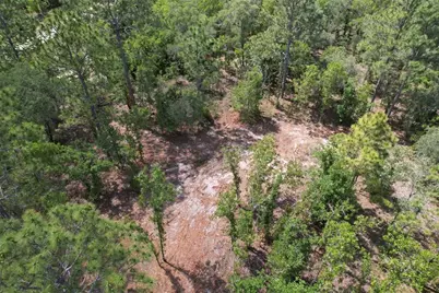 53rd Lane, Morriston, FL 32668 - Photo 11