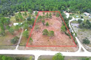 53rd Ln, Morriston, FL 32668 - Photo 1