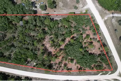 53rd Lane, Morriston, FL 32668 - Photo 9