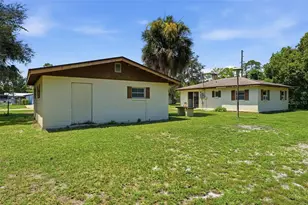 45828 Deer St, Paisley, FL 32767 - Photo 9